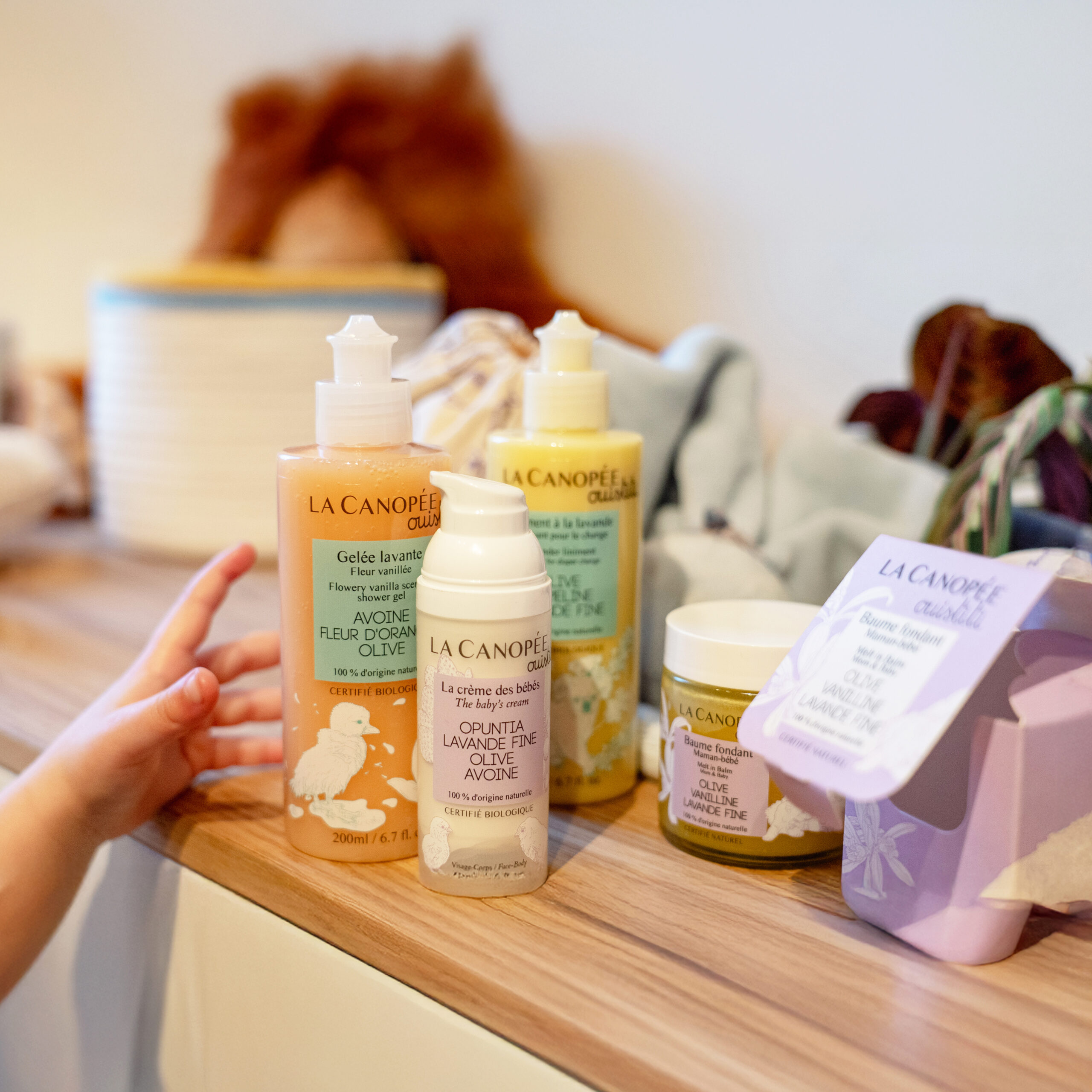 LA CANOPÉE famille ouistiti