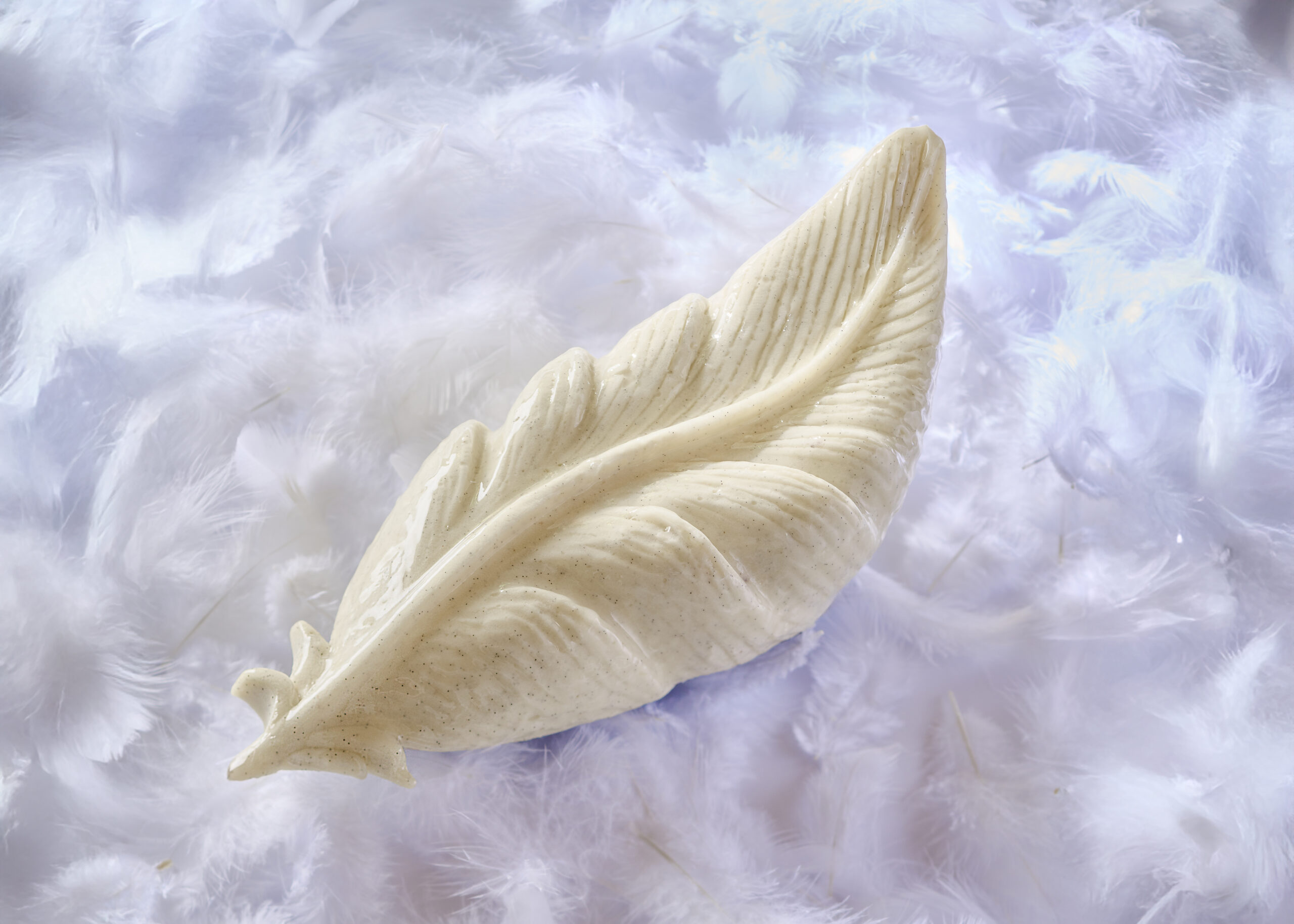 Plume de Noel buche Adrien Salavert Les Belles Perdrix credit photo Bernhard Winkelmann 2