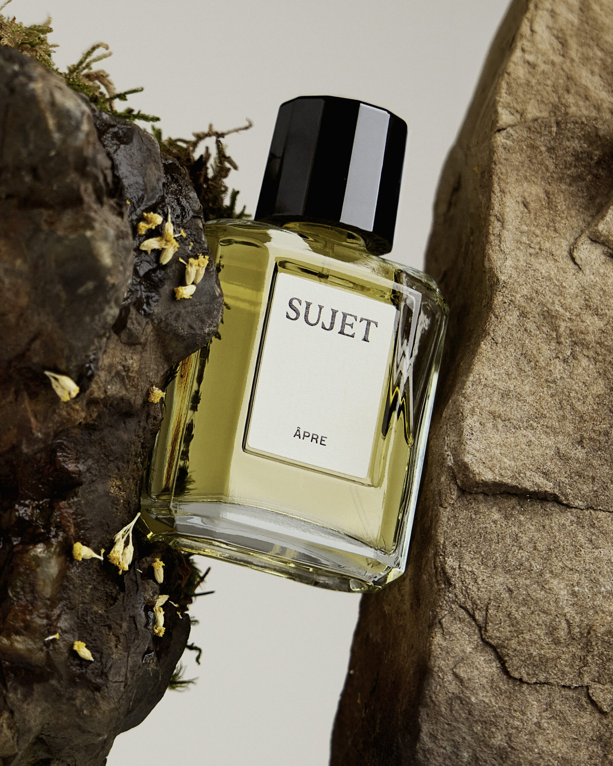 Sujet Parfums Âpre immortelle 9 Sujet Parfums Âpre immortelle 9