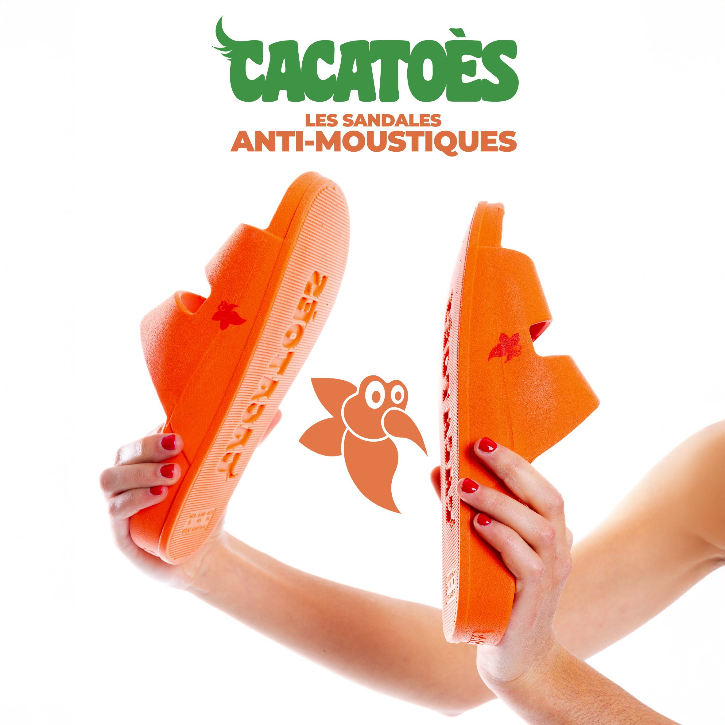 cacatoes sandales mosquitoes 2