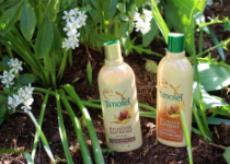 Timotei lance sa gamme Richesse Suprême pour cheveux frisés et crépus